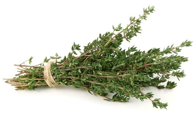 cimbru pentru marirea penisului