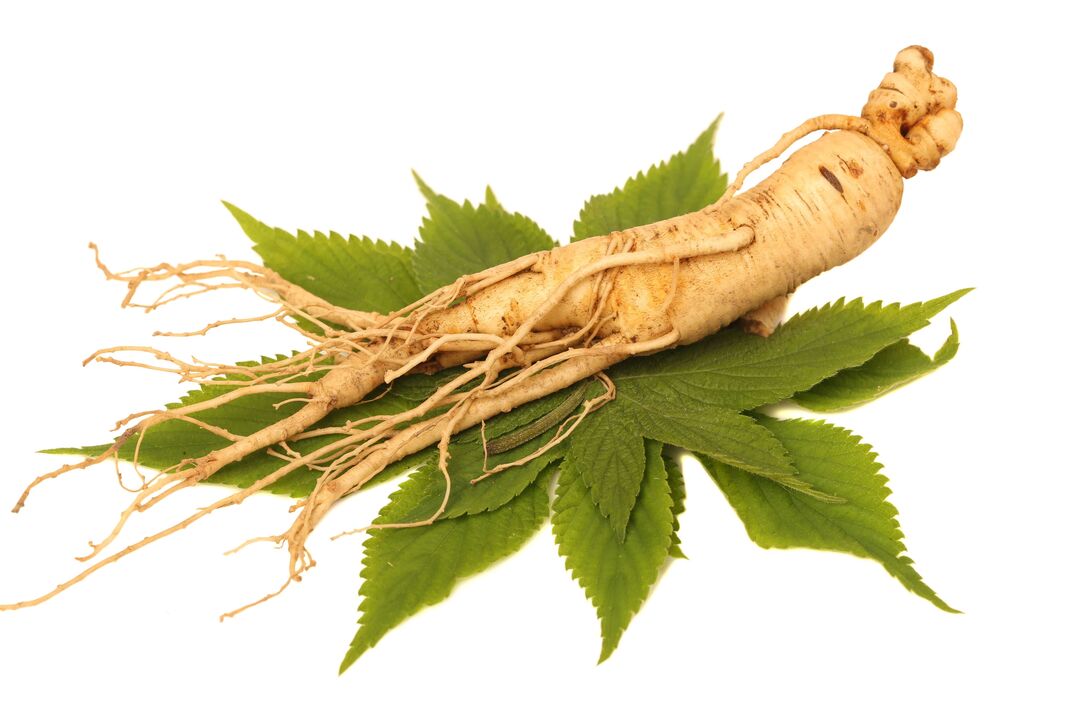 ginseng în Big Size